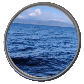 chapter 1 green port window